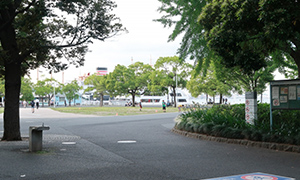 アクセス5